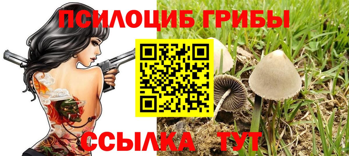 Псилоцибиновые грибы Psilocybine cubensis  Вход с VPN  Псилоцибиновые грибы MAGIC MUSHROOMS  Сочи 