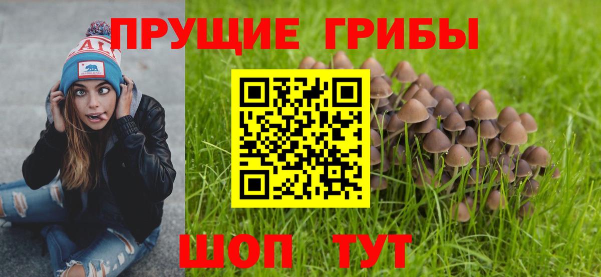 Галлюциногенные грибы прущие грибы Сочи